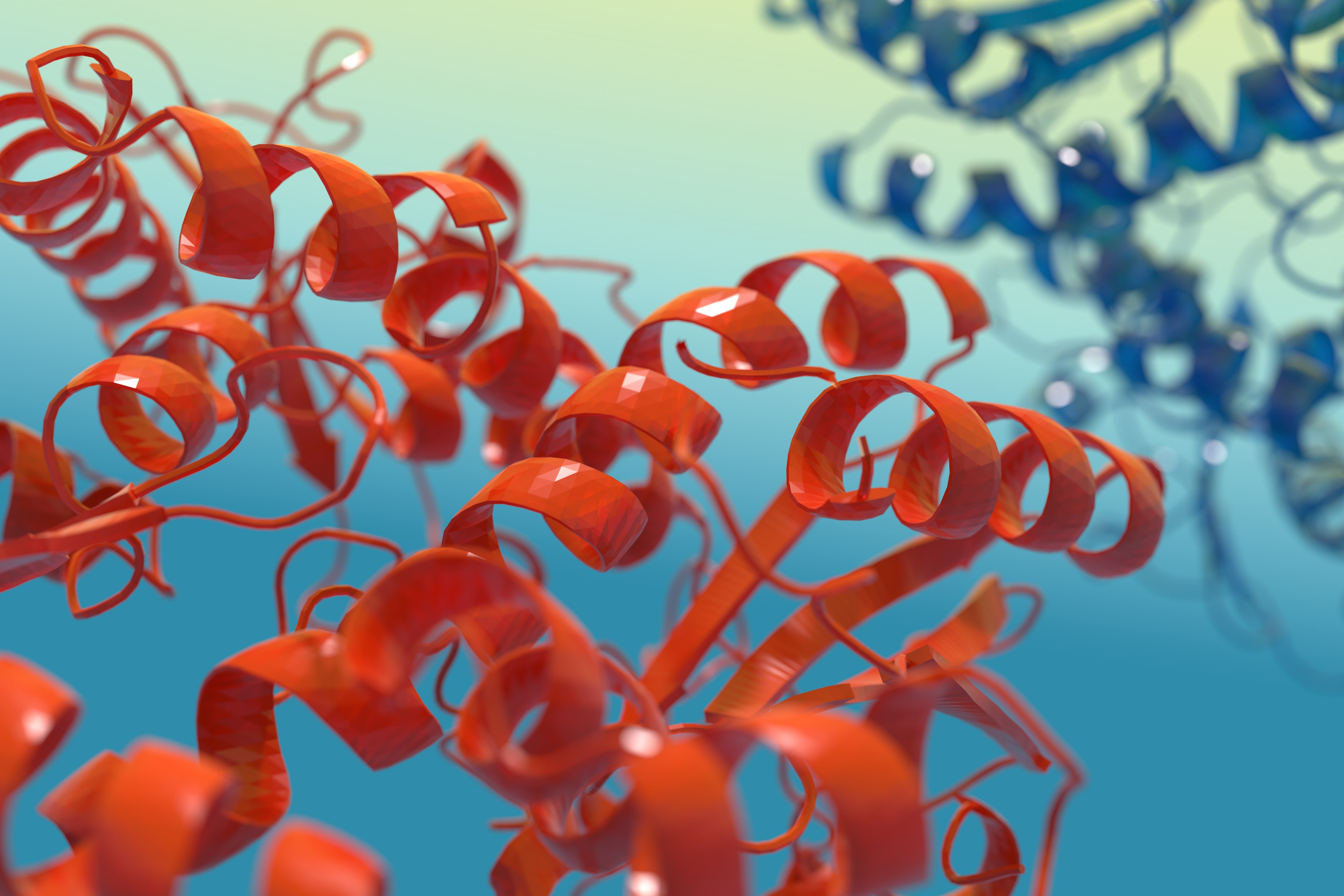 Lab image 3